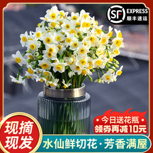【现摘鲜切花】漳州水仙花种球花枝带花苞冬季水培室内插花年宵花