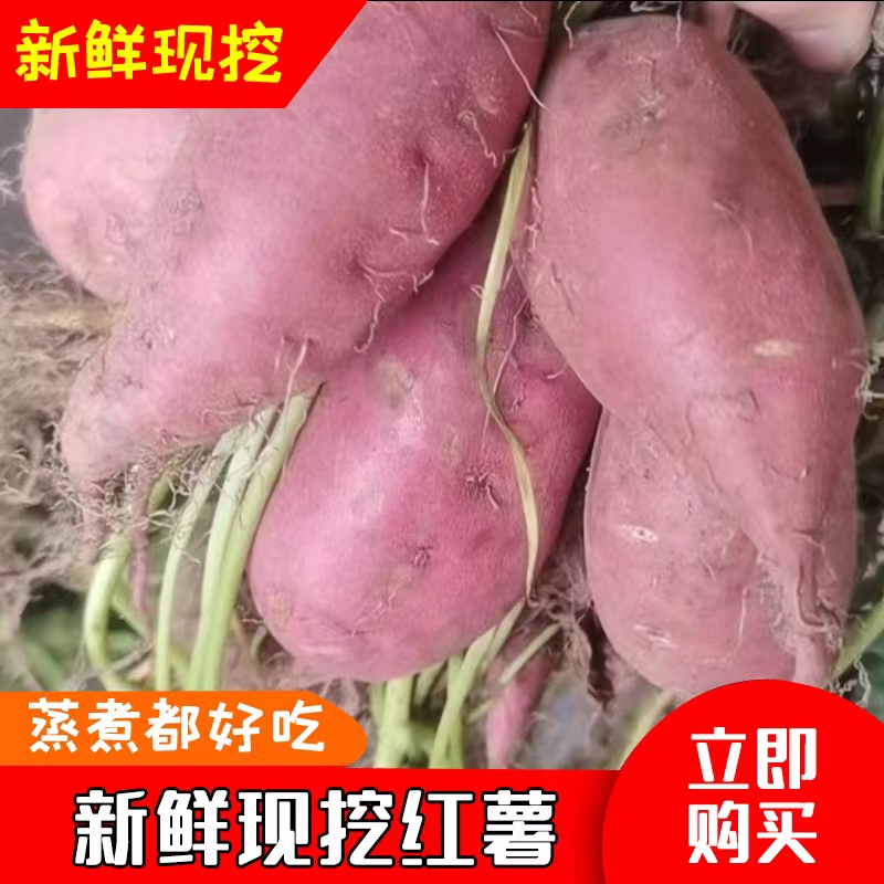正宗海南澄迈桥头富硒地瓜新鲜番薯产地直销农家沙地板栗署红薯