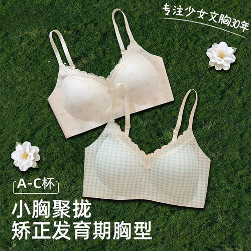少女文胸发育期高中大学生无痕内衣小胸聚拢舒适无钢圈防下垂胸罩