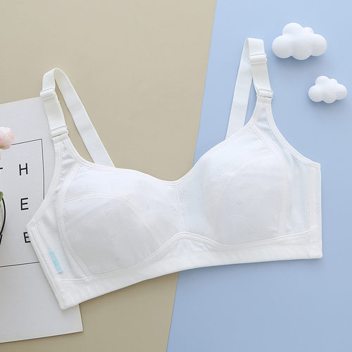 大小胸无钢圈夹棉内衣少女学生舒适薄模杯个性蝴蝶结女士文胸