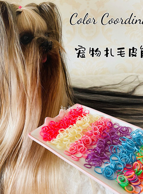 美国color coordinated宠物扎毛皮筋贵宾马尔济斯约克夏扎胡子
