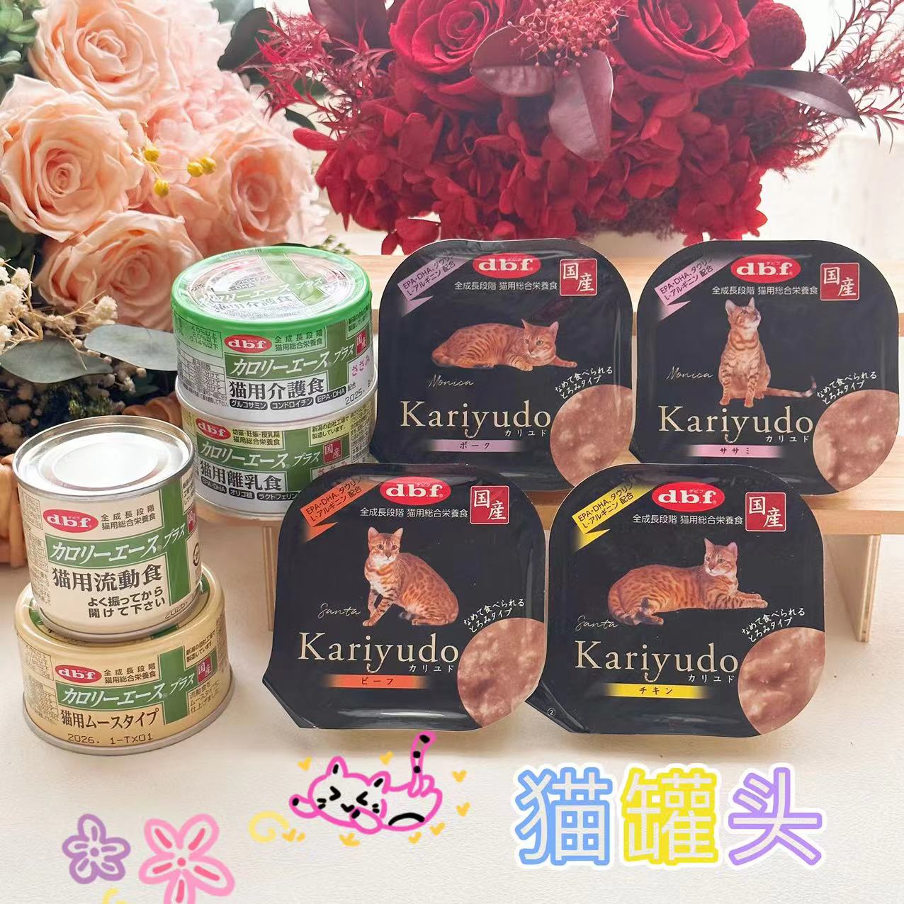 猫罐头dbf营养湿粮日本肉类单个