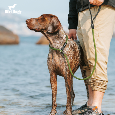 blackdoggy斯特迪防爆冲一体P绳狗狗外出牵引绳结实耐用