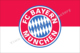 Munich Bayern flag 144X96cm 拜仁慕尼黑队旗 德甲旗帜 德甲