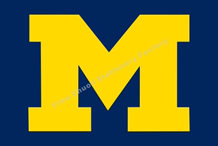 NCAA 密歇根大学狼獾队Michigan wolverines flag (3)
