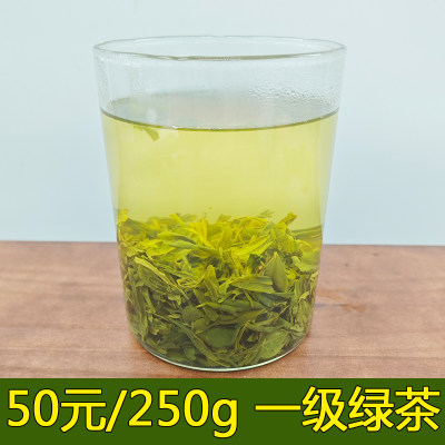 日照两车绿茶2023年新茶春茶茶叶