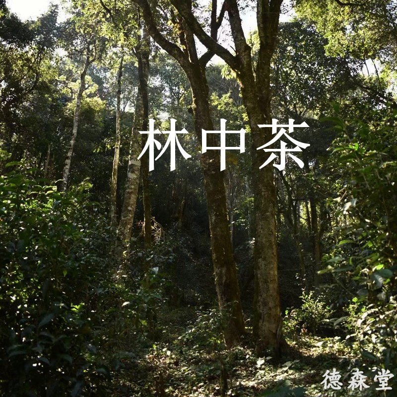 无量山老树普洱生茶散装260g