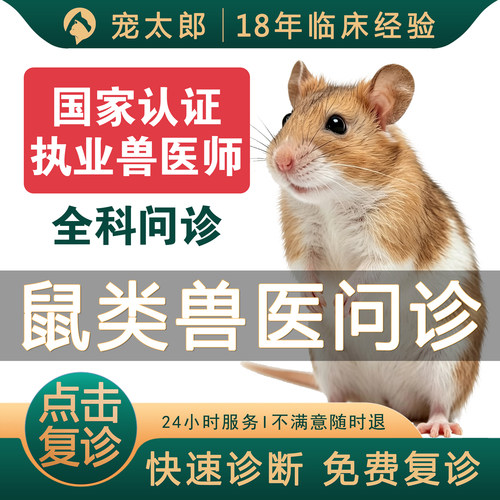 宠物医生兽医24小时在线问诊看病花枝鼠松鼠拉肚子眼睛红肿发炎