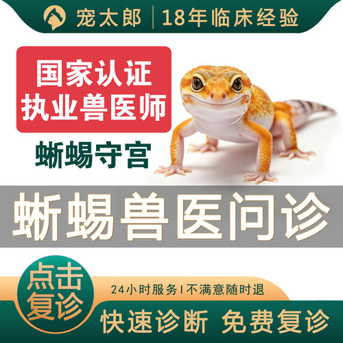 宠物医生在线问诊24小时蜥蜴问诊守宫异宠问诊豹纹守宫鬃狮蜥问诊