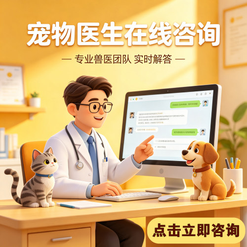兽医问诊24小时看病宠物医生在线问诊猫狗看病宠物医院猫癣寄生虫