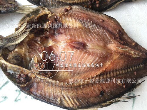 鱼干海鲜牛肉腊肉香肠腊肠烘干机 果蔬脱水食物风干机食品烘干箱