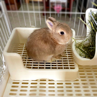 拉士格包臀双层厕所 特大号兔子便盆尿盆可固定龙猫豚鼠 兔子用品