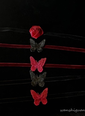 晚时光玫瑰蝴蝶哪里都可以系丝带