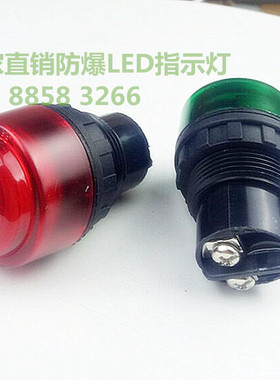 防爆防腐指示灯红绿黄白30MM220v380v24vLED电源指示灯防爆信号灯