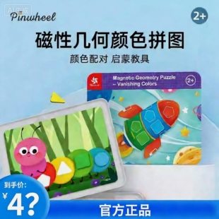 Pinwheel消失的颜色磁力几何积木七巧板智力拼图颜色形状认知玩具