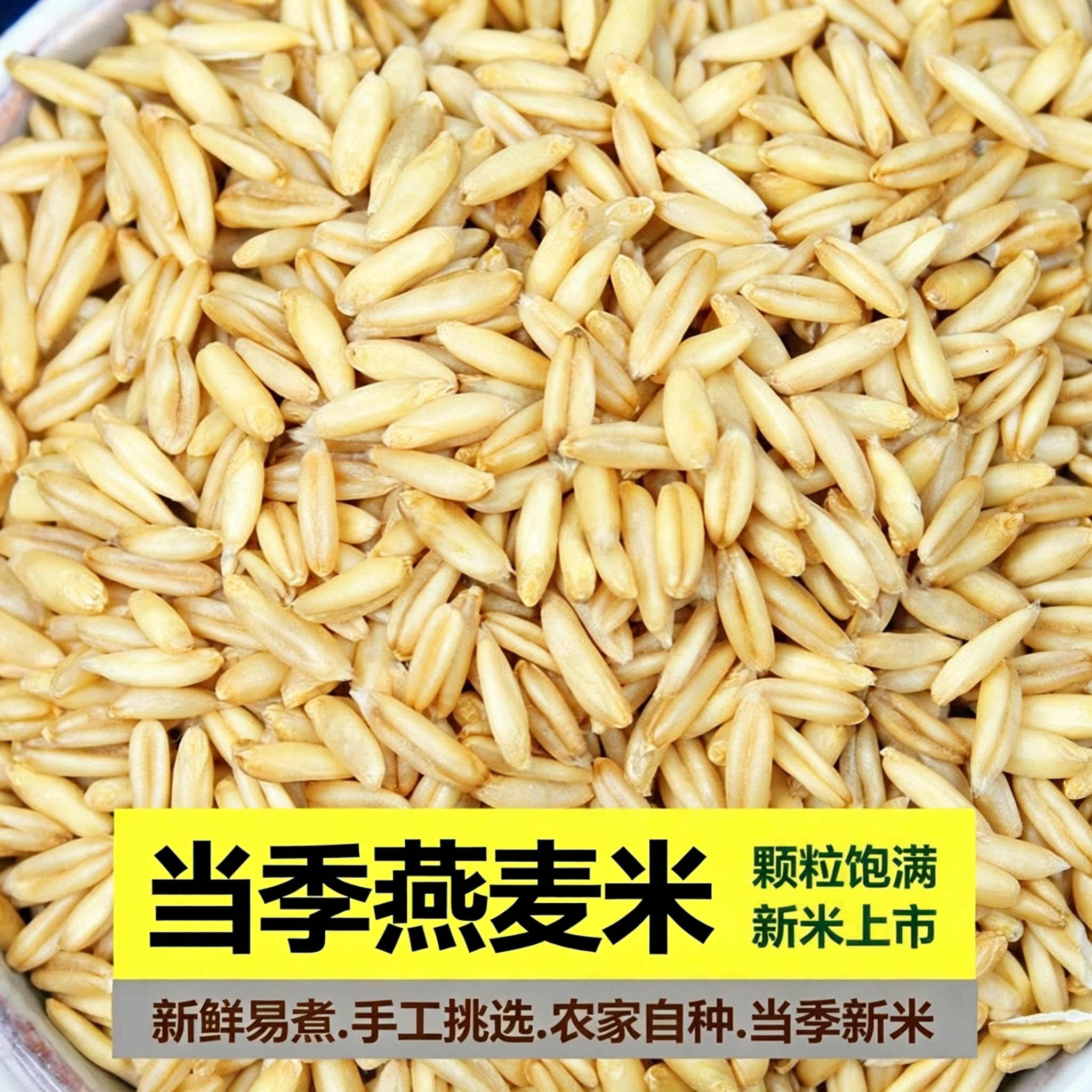 燕麦米农家自种当季新米燕麦粗粮图片