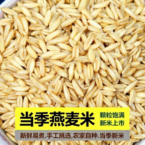 燕麦米农家自种当季新米燕麦粗粮