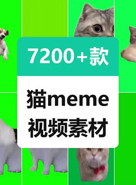 猫meme绿幕素材小猫咪跳舞抖音B站搞笑短视频制作剪辑教程场景图