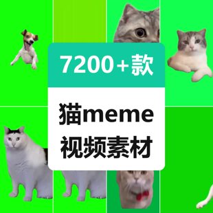 猫meme绿幕素材小猫咪跳舞抖音B站搞笑短视频制作剪辑教程场景图