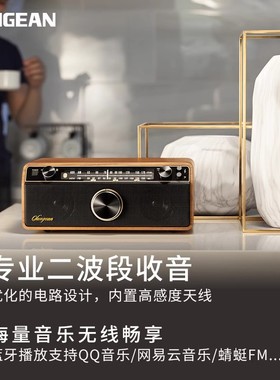 SANGEAN/山进 WR-12BT低音炮台式老人复古蓝牙播放器半导体收音机