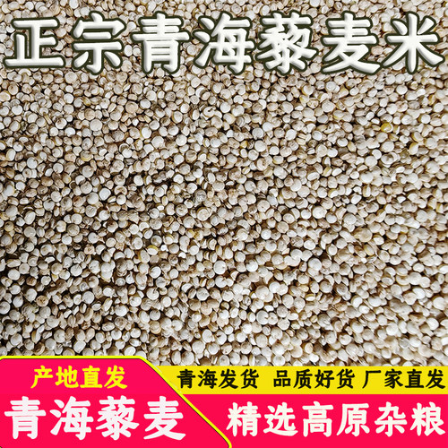 青海白色藜麦三色高原特产