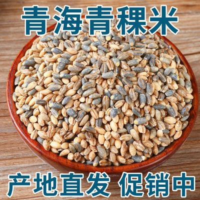 【工厂直销】正宗青海青稞米