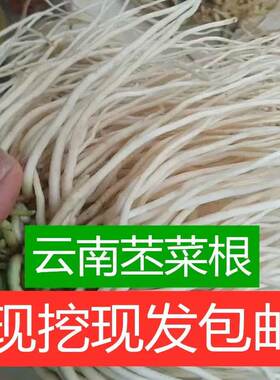 佤味菜根新鲜苤菜根佤味鸡爪炒肉