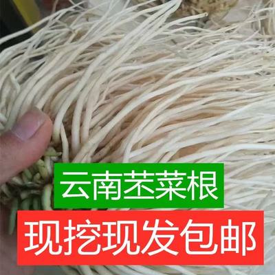 佤味菜根新鲜苤菜根佤味鸡爪炒肉