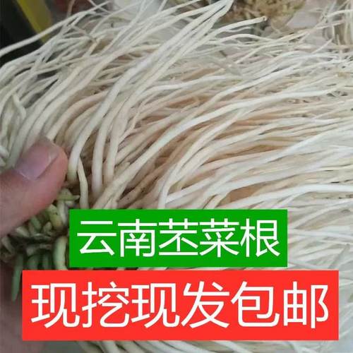 佤味菜根新鲜苤菜根佤味鸡爪炒肉
