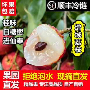 增城正宗仙进奉荔枝头茬新鲜应季水果当季新鲜水果精品水果超大果