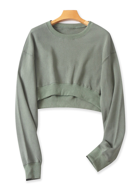 毛圈圆领短款卫衣 春秋新款高腰显瘦女长袖宽松休闲套头上衣05133