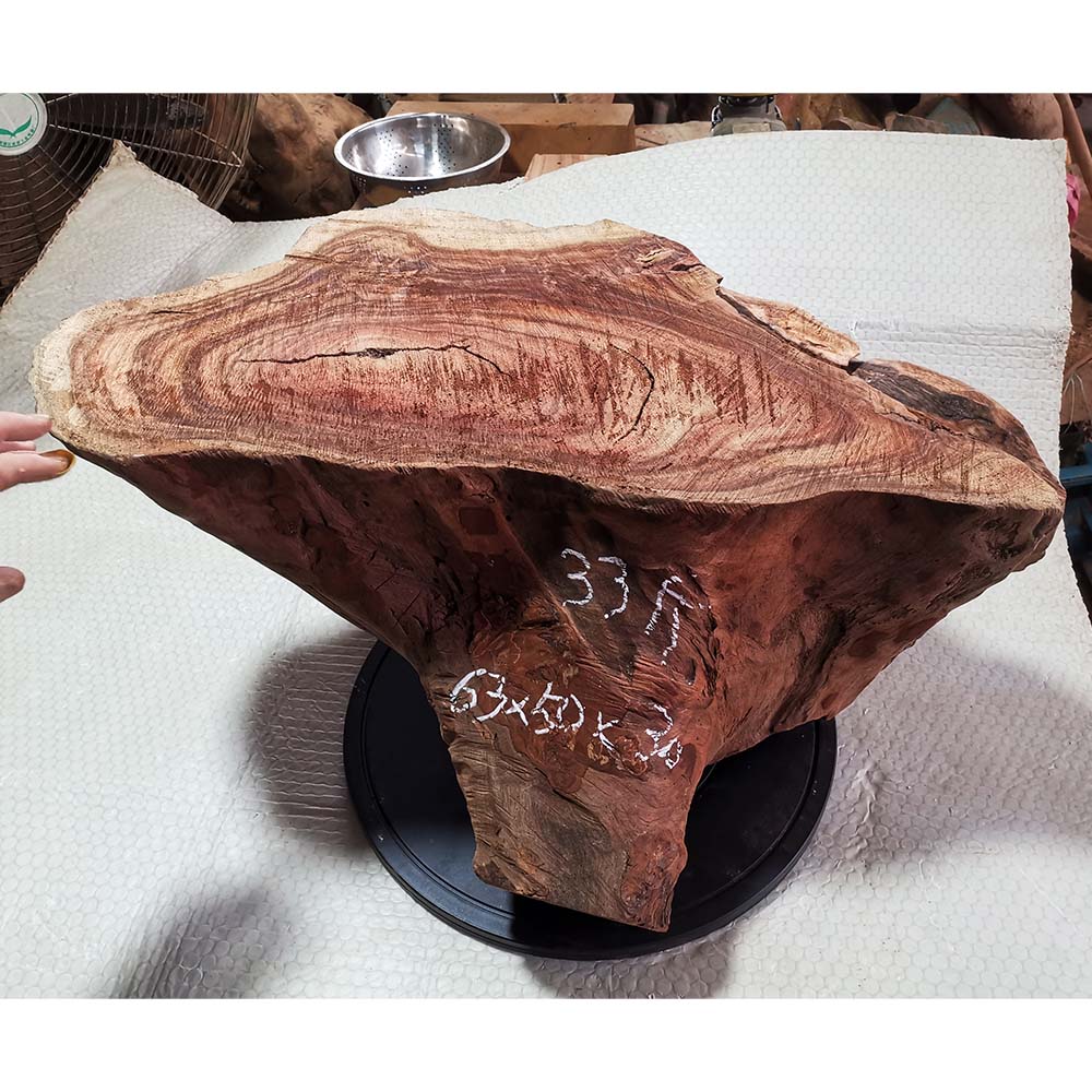 香樟木树根摆件 香熏 杀菌 防蛀木墩木桩木凳——青云台