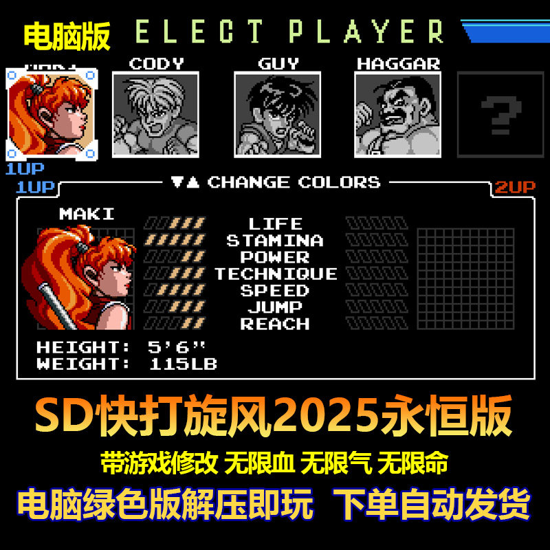 SD快打旋风2025永恒版 8角色可选  带出招说明  win电脑版