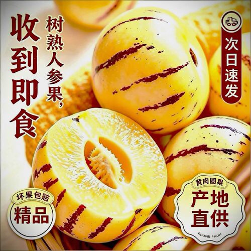 人参果新鲜水果云南石林树上熟黄肉圆果应季现摘精品大果整箱包邮