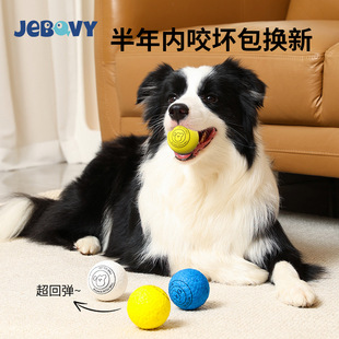 青松宠品宠物玩具狗狗玩具球耐咬磨牙etpu爆爆球实心球金毛犬无声