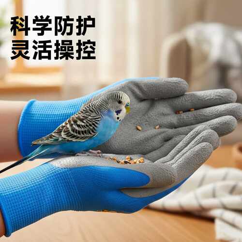 青松宠品鹦鹉防咬手套儿童加厚成人耐磨透气防抓牡丹玄凤训练仓鼠