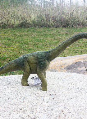 思 乐腕龙下颚可动大恐龙脚上有吊牌绿色模型袋装14581儿童玩具物