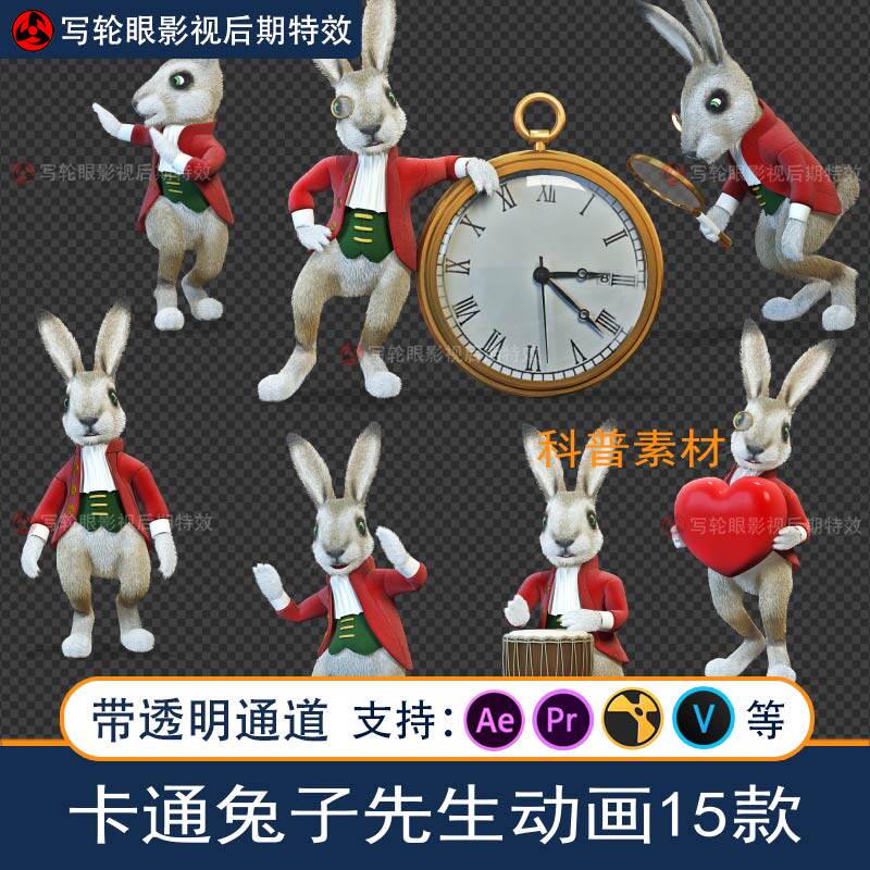卡通兔子先生动画视频素材小白兔动物影视后期mov带透明通道alpha