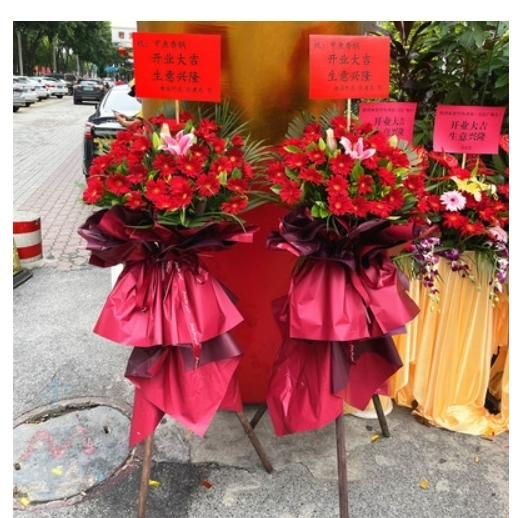 深圳市龙岗区平湖坪地葵涌大鹏南澳镇鲜花店配送开业花篮乔迁