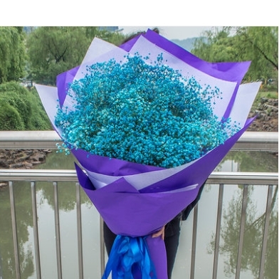 福建马尾区江滨锦城君竹路闽侯县新西客站鲜花店蛋糕店速递玫瑰