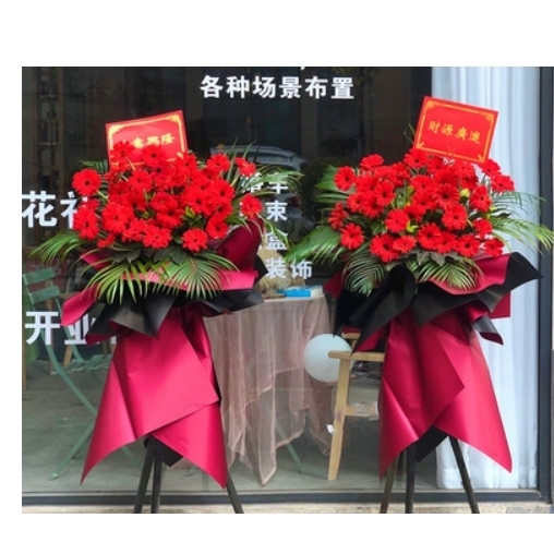常州武进区雪堰镇武进经济开发区潞城奔牛镇鲜花店配送开业花篮同