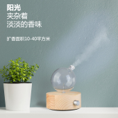 冷香仪无水香薰器自动纯精油专用扩香仪负离子扩散器扩香机香薰机