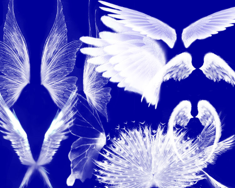 超唯美翅膀psd分层模版 婚纱写真素材 个性创意图片