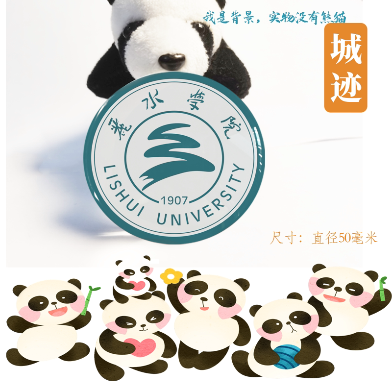 丽水学院冰箱贴校徽丽水学院纪念品校友留念伴手礼磁性贴装饰定制