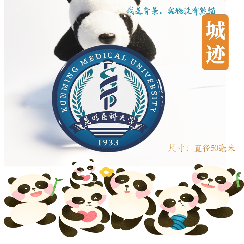 昆明医科大学冰箱贴校徽昆明医科大学纪念品校友伴手礼磁性贴装饰
