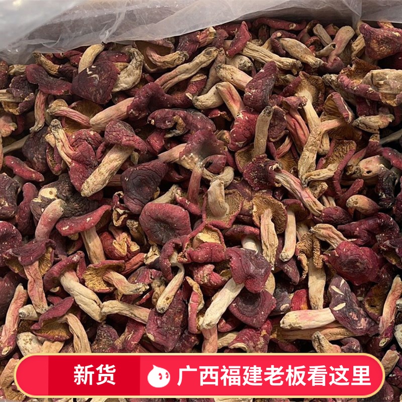 蘑菇红菇500g包邮煲汤