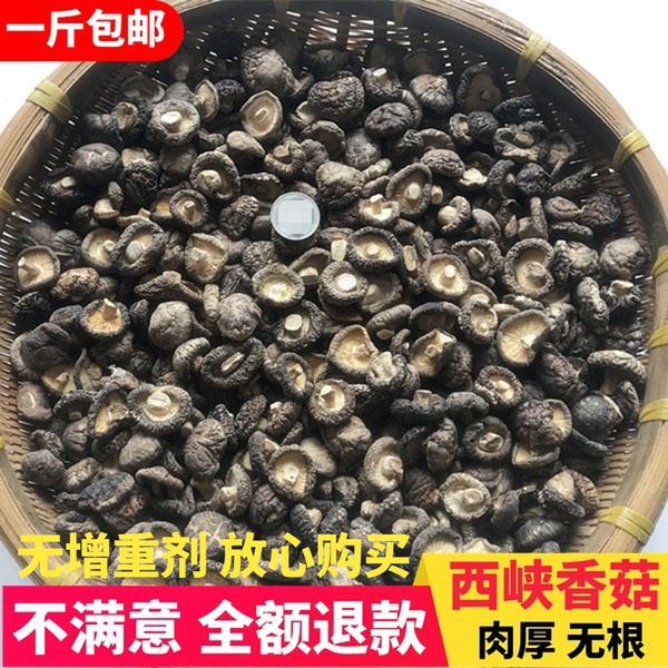 新货特级香菇小香菇干货500g农家特小干香菇商用散装包邮河南特产