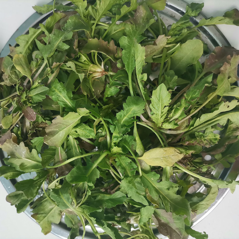 现挖新鲜野生荠菜露天野菜带根打霜荠菜丹江口库区时令蔬菜,水产肉类/新鲜蔬果/熟食,荠菜,淘宝优惠券,粉丝福利购,淘宝优惠卷