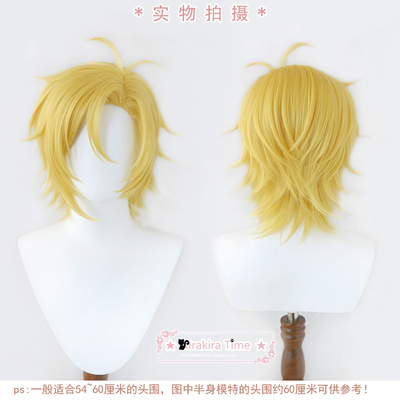 亚修·林克斯cosplay假发