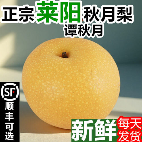 羊脂莱阳秋月梨冰糖梨脆甜礼盒
